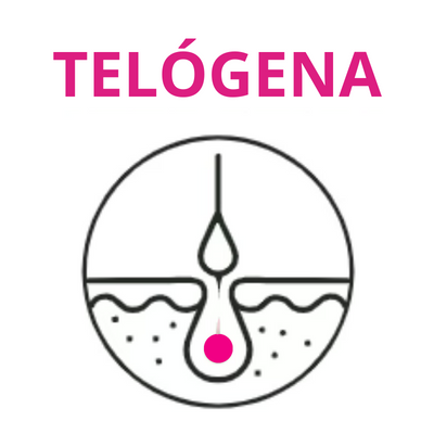 fase_telogena_ciclo_del_crecimiento_pestañas
